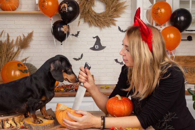 Pet’s Dental Health