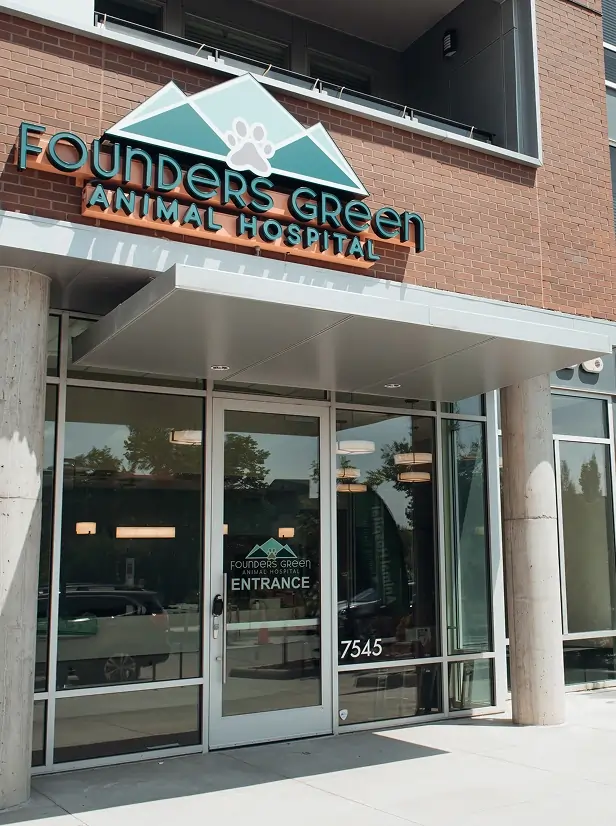 Welcome to Founders Green Animal Hospital Image